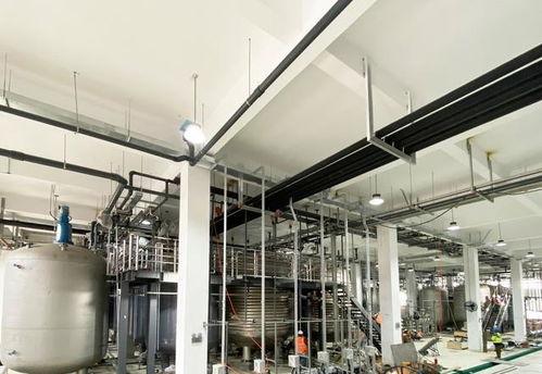 免(mian)疫(yi)細胞(bao)缺陷或(huo)可(ke)加速3倍(bei)衰(shuai)老 西班牙(ya)科(ke)學家揭(jie)示衰(shuai)老新(xin)機(ji)制